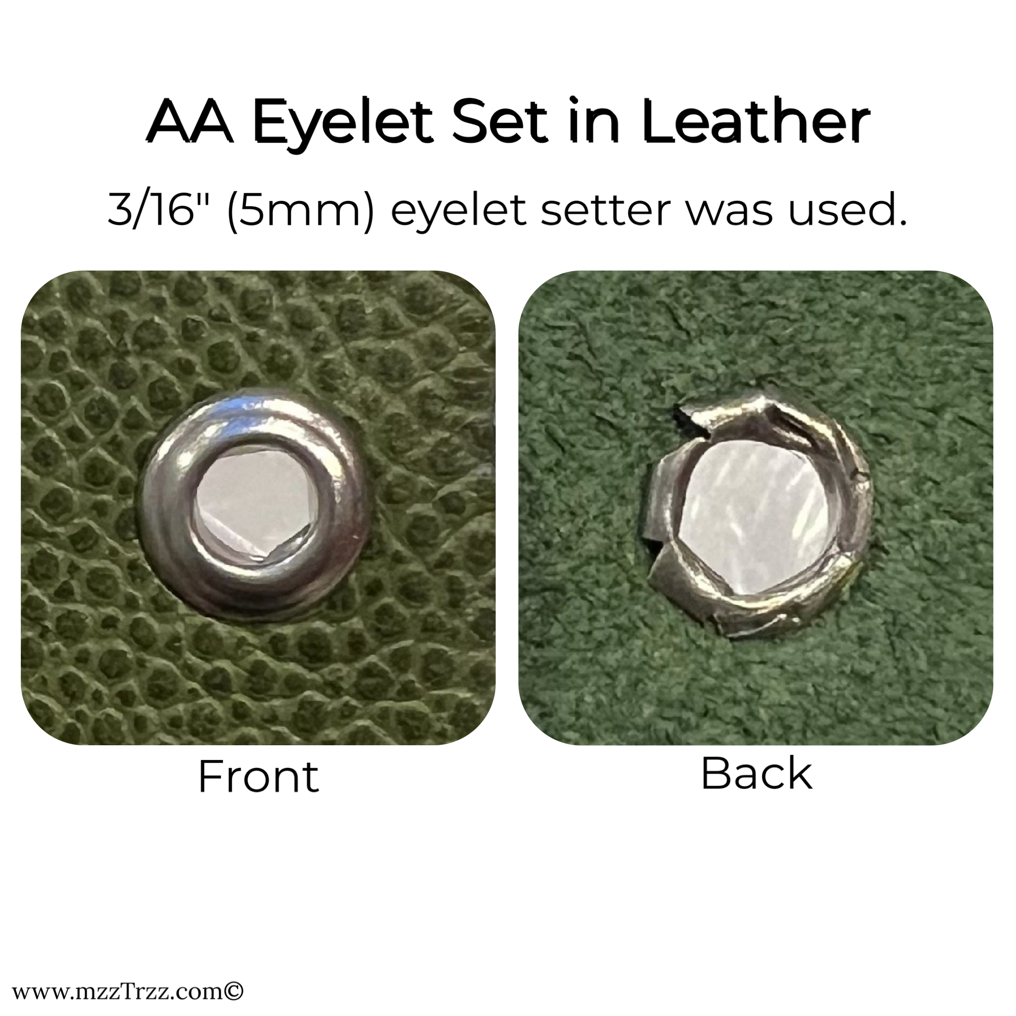 AA Eyelet set in Leather